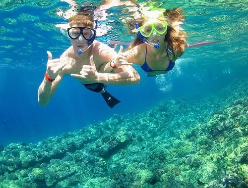 Grand Cayman Stingray City and Reef Snorkeling Adventure