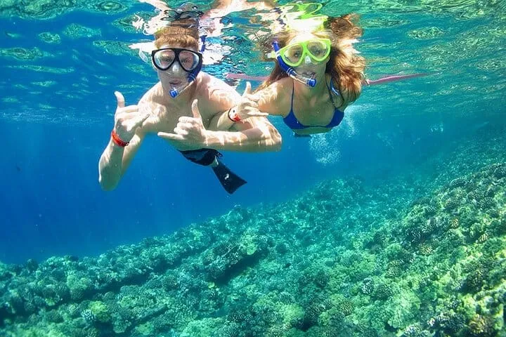 Grand Cayman Stingray City and Reef Snorkeling Adventure