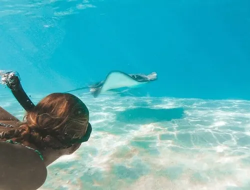 Grand Cayman Stingray City Sandbar Snorkel Adventure 