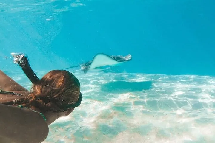 Grand Cayman Stingray City Sandbar Snorkel Adventure 