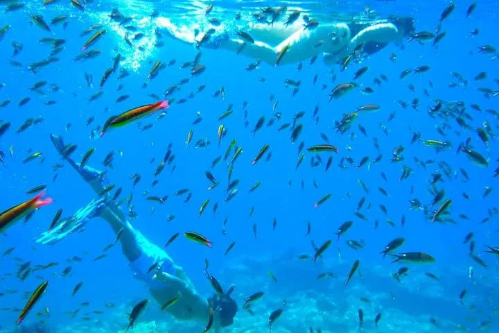 Snorkel at the National Park of Espiritu Santo Island at La Paz, Baja California