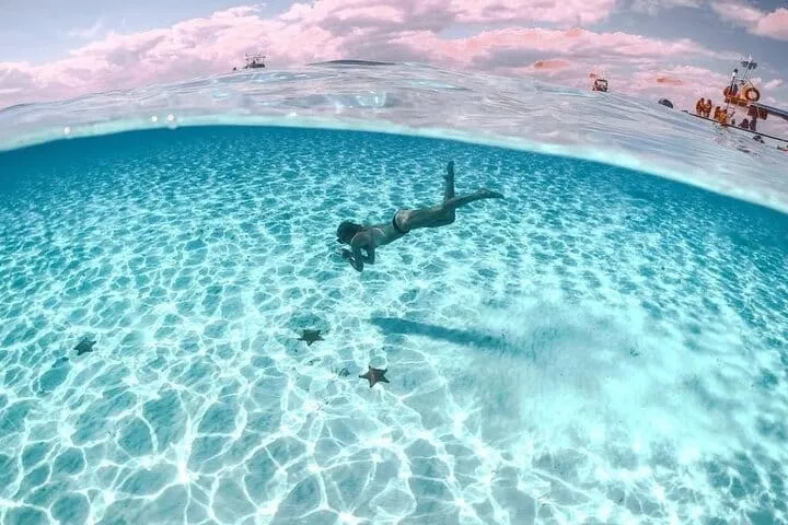 Grand Cayman: Stingray City, Starfish Point & Coral Gardens