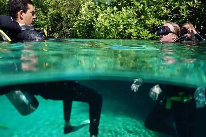 Wonders of the Underwater World: Discover Scuba Diving in Tulum