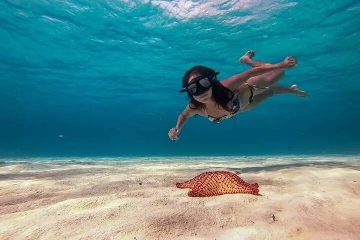 Cozumel: El Cielo & Palancar Snorkeling Tour on Glass-Bottom Boat