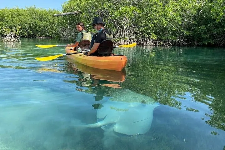 Cancun Nichupte Lagoon Morning Kayak Adventure