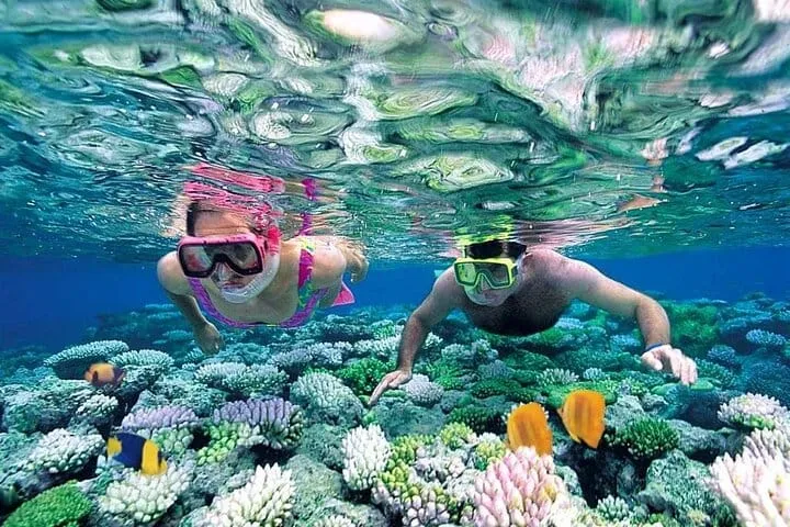 Puerto Morelos Coral Reef Snorkeling Adventure
