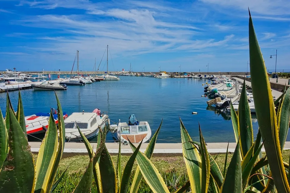 Boats moored at Estepona marina. Photo via Unsplash