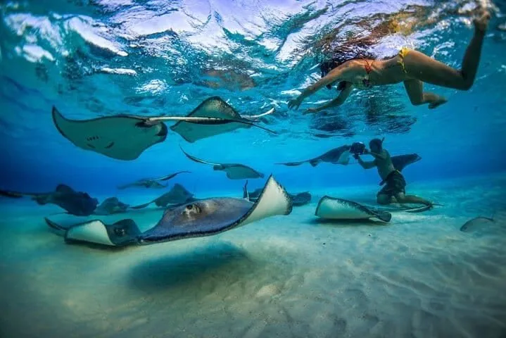 A boat trip from Grand Cayman to Stingray City