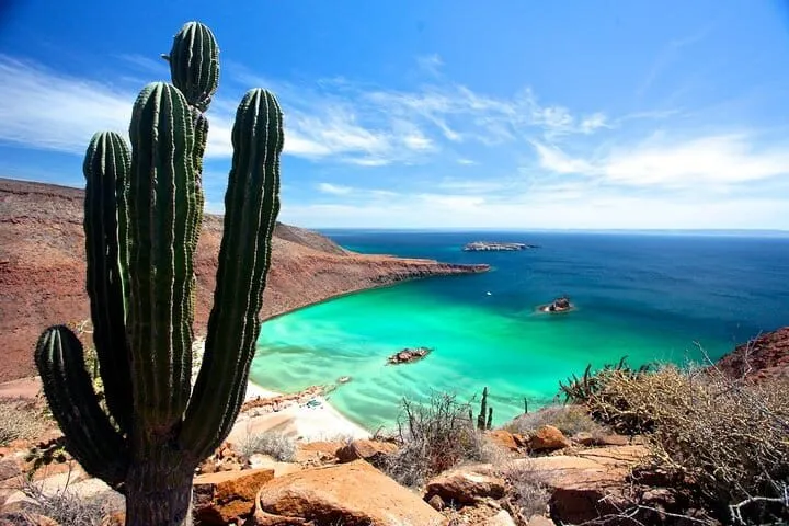 A boat trip on the Sea of Cortez from La Paz