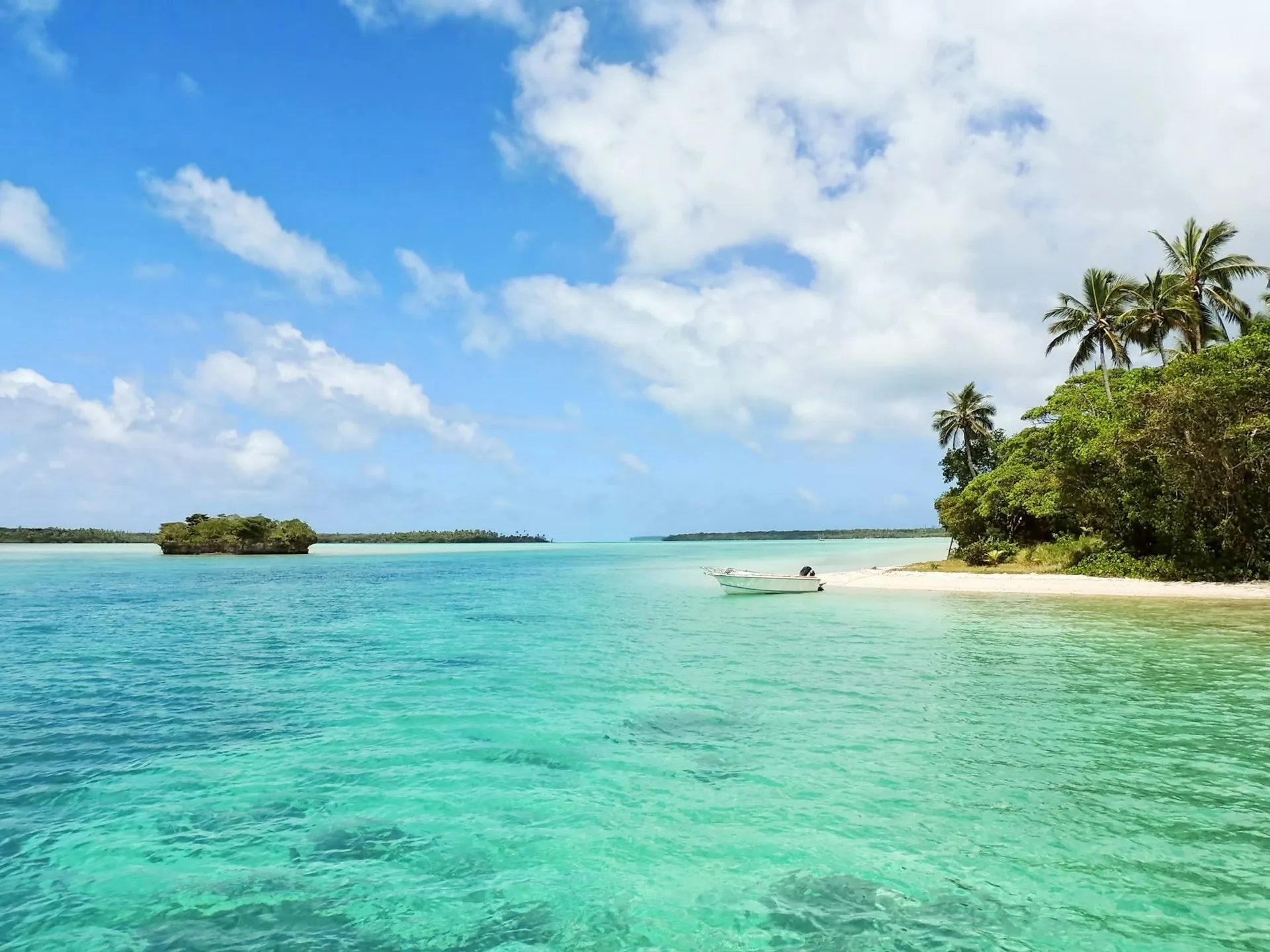 Boat trips from Montego Bay