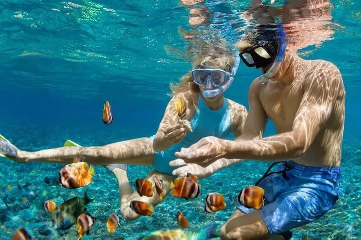 A reef snorkelling trip from Puerto Morelos