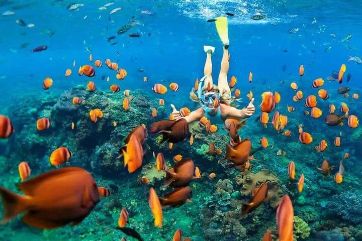 Snorkelling over coral near Puerto Morelos