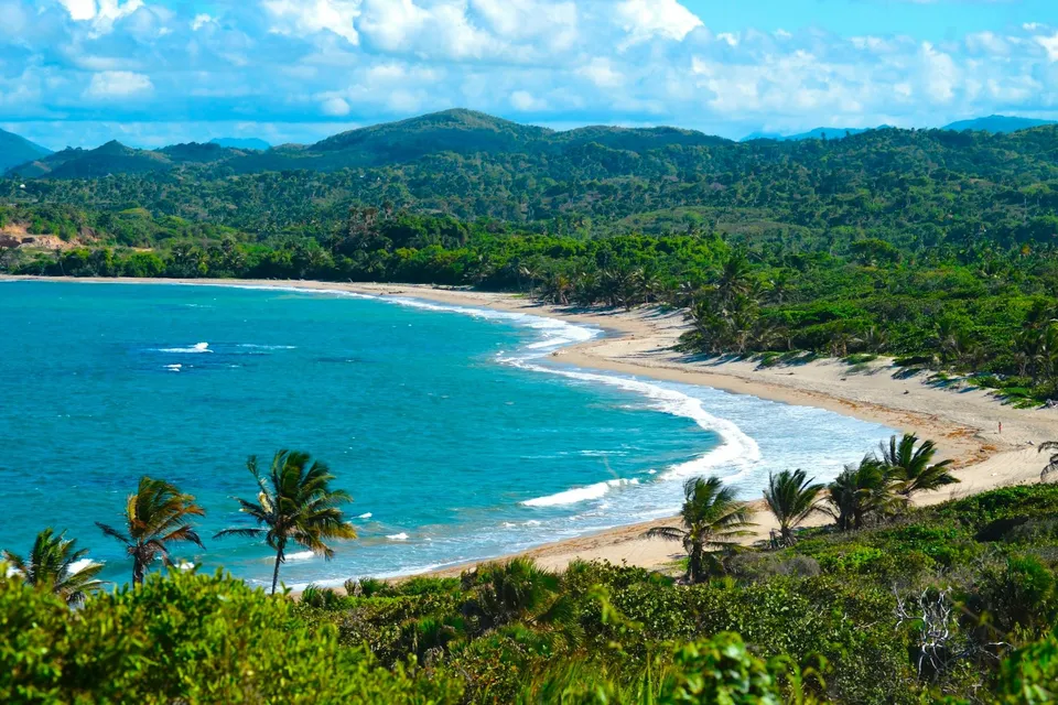 A bay with palm trees and a boat on the coast near Puerto Plata. Photo via Unsplash