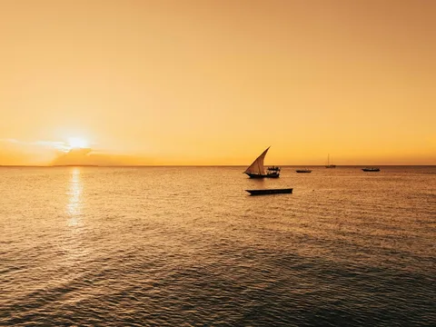 Boat trips from Zanzibar