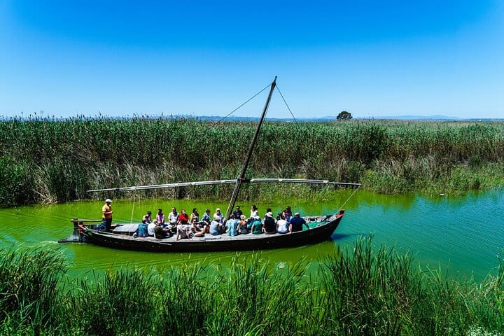 A boat trip on the lake, with reeds along the shore
