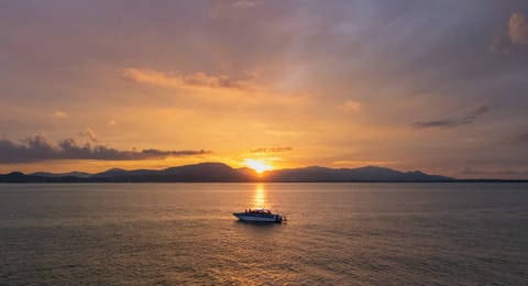 Phi Phi Sunset & Shark Spotting from Phuket