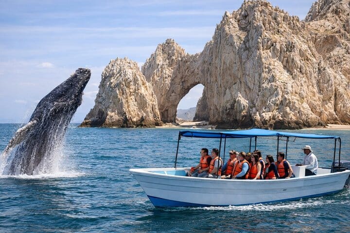 Humpback whale and a small whale-watching boat in front of El Arco