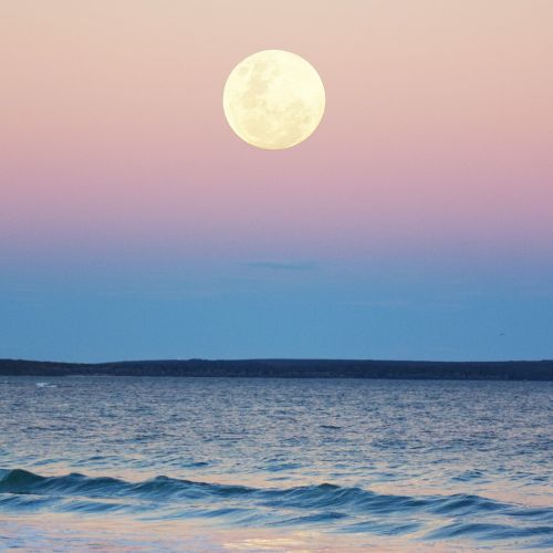 Luna Llena en Sotogrande PAseo en Velero nocturno